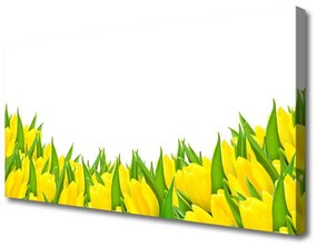 Obraz Canvas Kvety príroda tulipány 140x70 cm