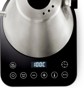 Elektrická kanvica s labutím hrdlom