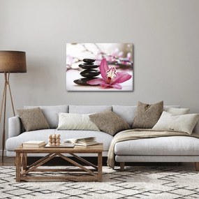 Obraz masážnych kameňov a orchidey na vode (70x50 cm)