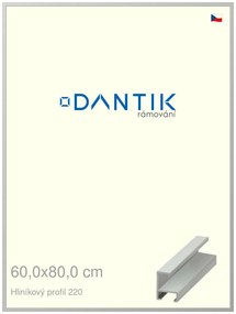 DANTIK rám na obraz 60x80 | ALU Stříbrná matná (Plexi Čiré)