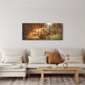 Obraz - Zasnežený park (120x50 cm)