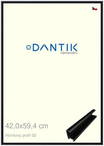 DANTIK rám na obraz 42x59,4 | ALU Černá matná (Plexi Čiré)