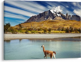Obraz - Národný park Torres del Paine (70x50 cm)