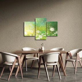 Obraz - Odkvitnuté púpavy (90x60 cm)
