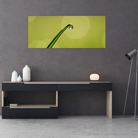 Obraz kvapky vody na tráve (120x50 cm)