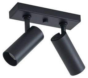 Moderné stropné svietidlo čierne vrátane LED stmievateľné 2-svetlá - Tate