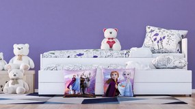 Detský vankúšik FROZEN 2 40x40 cm