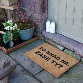 Rohožka z kokosového vlákna 40x60 cm Zase Ty? – Artsy Doormats