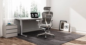 Grospol - Kancelárske kreslo Ergohuman 2 Elite GS Grey