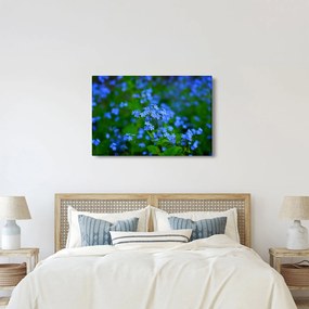 Obraz modrých kvetín (90x60 cm)