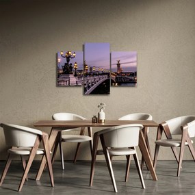 Obraz - Most Alexandra III. v Paríži (90x60 cm)
