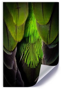 Gario Plagát Zelené perie Farba rámu: Bez rámu, Veľkosť: 40 x 60 cm