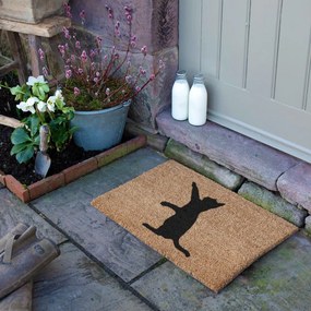 Rohožka z kokosového vlákna 40x60 cm Cat – Artsy Doormats