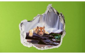 3D fototapeta, Tiger pri vodopáde, 100 x100cm