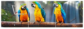 Gario Obraz s hodinami Farebné papagáje - 3 dielny Rozmery: 80 x 40 cm