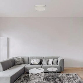 Rabalux - LED Stropné svietidlo LED/24W/230V