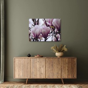 Sklenený obraz - Magnolie (70x50 cm)
