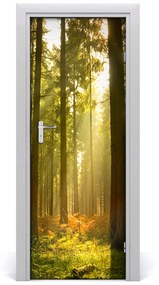 Fototapeta na dvere pekný les 95x205 cm