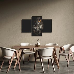 Obraz sovy (90x60 cm)