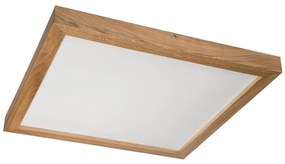 Brilagi - LED Kúpeľňové svietidlo WOODY FRAME LED/40W/230V 60x60 cm IP44 dub