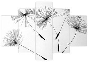 Čiernobiely obraz - páperie