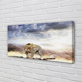 Obraz canvas panter mraky 125x50 cm