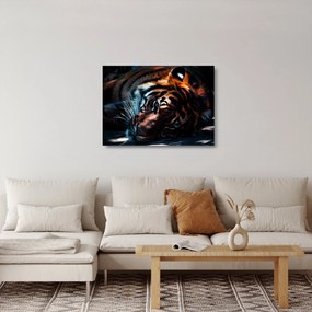 Sklenený obraz ležiaceho tigra (70x50 cm)