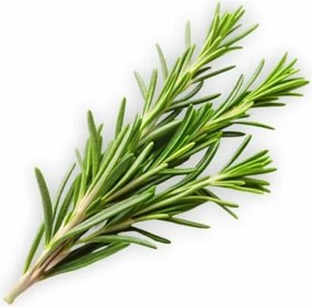 Aromatický vankúš Rosemary 50x70 cm EMI