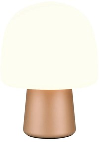 Stolová lampa v bielo-bronzovej farbe so skleneným tienidlom (výška 27 cm) Steen – Trio
