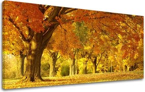 Obraz na stenu PANORÁMA STROMY ST027E13