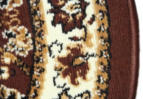 Sintelon, Kusový koberec Teheran Practica 59 / DMD ovál, 160x230, hnedá, chodba / predsieň