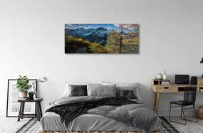Obraz plexi Jazierka salašnícky 120x60 cm