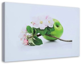 Obraz na plátně Ovoce jablko Příroda - 60x40 cm