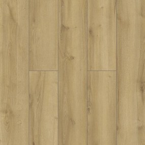 Laminátová podlaha Dub Solin 8 mm AC5 Promo 59884