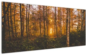 Obraz jesenného lesa (120x50 cm)