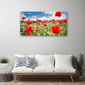 Obraz Canvas Lúka kvety príroda 120x60 cm