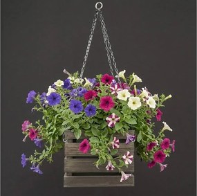 AMADEA Drevený závesný obal na kvetináč tmavý, 27x27x21 cm, český výrobok