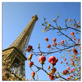 Obraz na plátne - Eiffelova veža v jarnom období - štvorec 334A (80x80 cm)