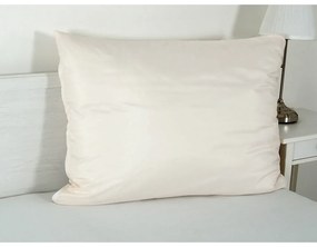 Obliečka na vankúš z mikrovlákna 70x90 cm Summer – B.E.S.