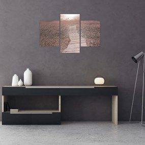 Obraz - Kamienková pláž (90x60 cm)