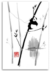 Gario Obraz na plátne Panda na bambuse - Péchane Rozmery: 60 x 90 cm