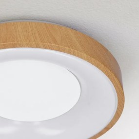 Brilagi - LED Stmievateľné stropné svietidlo DORIA LED/48W/230V 3000-6500K + DO