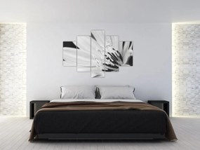 Obraz - Čiernobiely kvet (150x105 cm)