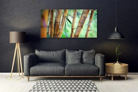 Obraz na akrylátovom skle Bambus príroda rastlina 120x60 cm