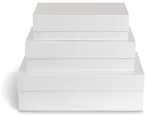 Biele kartónové úložné boxy v súprave 3 ks s vekom/dekoratívne 42,5x29,5x13 cm Kian Paper Laminate – Bigso