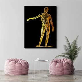 Gario Obraz na plátne Zlatá anatómia, telo - Gab Fernando Rozmery: 40 x 60 cm