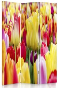 Gario Paraván Pestrofarebné tulipány Rozmery: 110 x 170 cm, Prevedenie: Klasický paraván