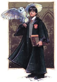 Umelecká tlač Harry Potter with Hedvig - Art, (26.7 x 40 cm)