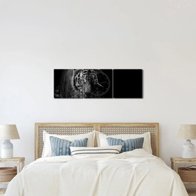Obraz divokého tigra (s hodinami) (90x30 cm)