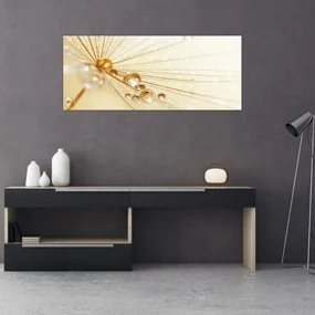 Obraz - Makro fotografie púpavy (120x50 cm)